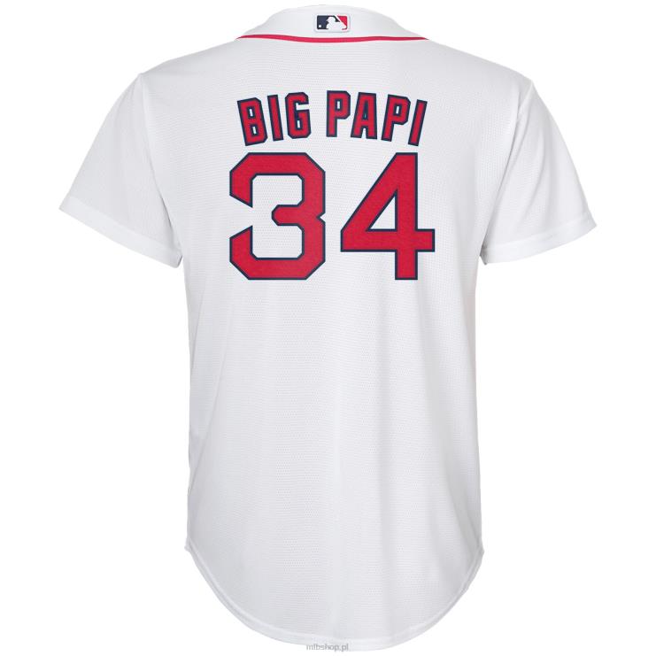 biała replika koszulki gracza boston red sox david ortiz nike młodzież 0J02V718 MLB Jerseys