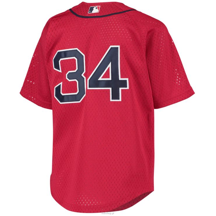 boston red sox david ortiz mitchell & ness czerwona koszulka treningowa z kolekcji cooperstown młodzież 0J02V535 MLB Jerseys