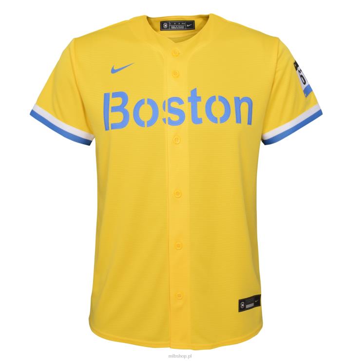 boston red sox xander bogaerts nike złoto/jasnoniebieska replika koszulki gracza city connect młodzież 0J02V1025 MLB Jerseys