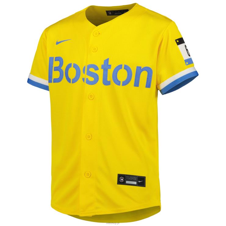 replika koszulki zawodnika nike gold city connect boston red sox david ortiz młodzież 0J02V1240 MLB Jerseys