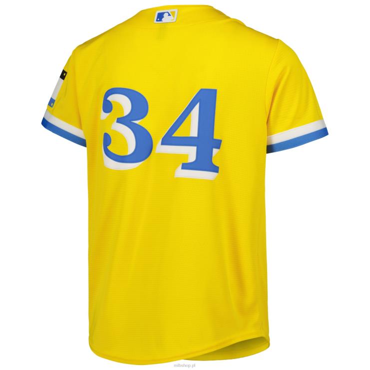 replika koszulki zawodnika nike gold city connect boston red sox david ortiz młodzież 0J02V1240 MLB Jerseys