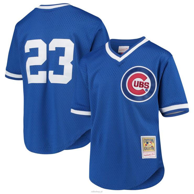 chicago cubs ryne sandberg mitchell & ness kolekcja royal cooperstown siatkowa koszulka do ćwiczeń mrugnięcia młodzież 0J02V892 MLB Jerseys
