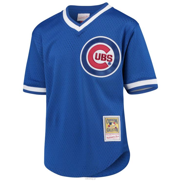 chicago cubs ryne sandberg mitchell & ness kolekcja royal cooperstown siatkowa koszulka do ćwiczeń mrugnięcia młodzież 0J02V892 MLB Jerseys