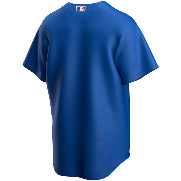 replika koszulki drużyny Nike Royal Alternative z Chicago Cubs młodzież 0J02V1521 MLB Jerseys