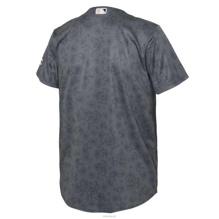 replika koszulki Washington Nationals Nike 2022 City Connect w kolorze szarym Dziecko 0J02V1484 MLB Jerseys