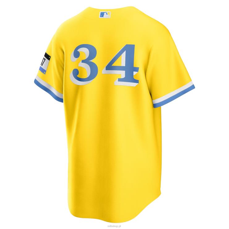 replika koszulki nike red sox david ortiz nike gold emerytowany gracz city connect mężczyźni 0J02V333 MLB Jerseys