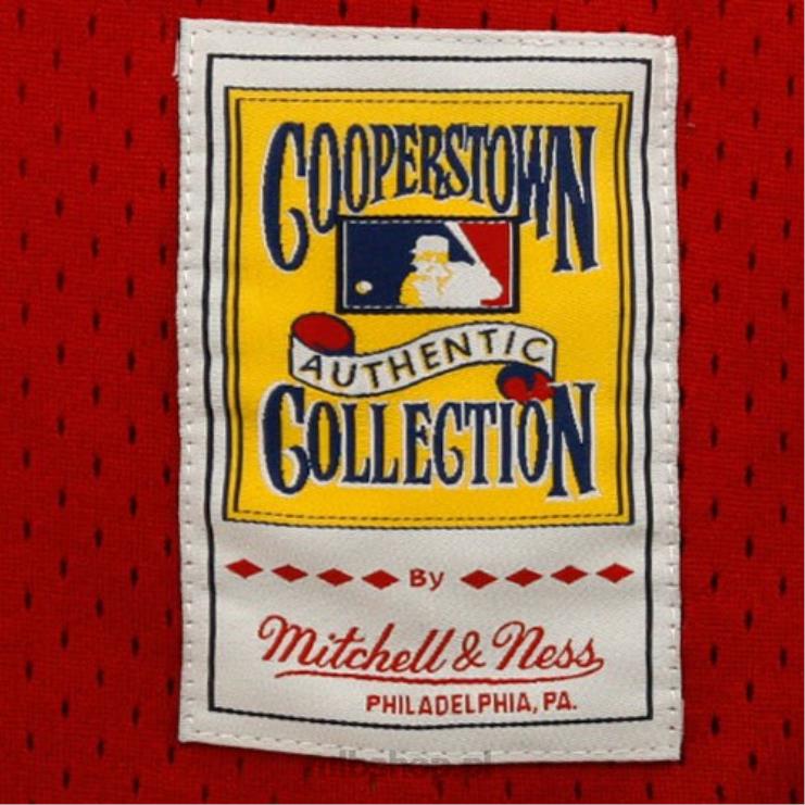 cincinnati reds johnny bench mitchell & ness red 1983 autentyczna kolekcja cooperstown siatkowa koszulka treningowa mrugnięcia mężczyźni 0J02V665 MLB Jerseys