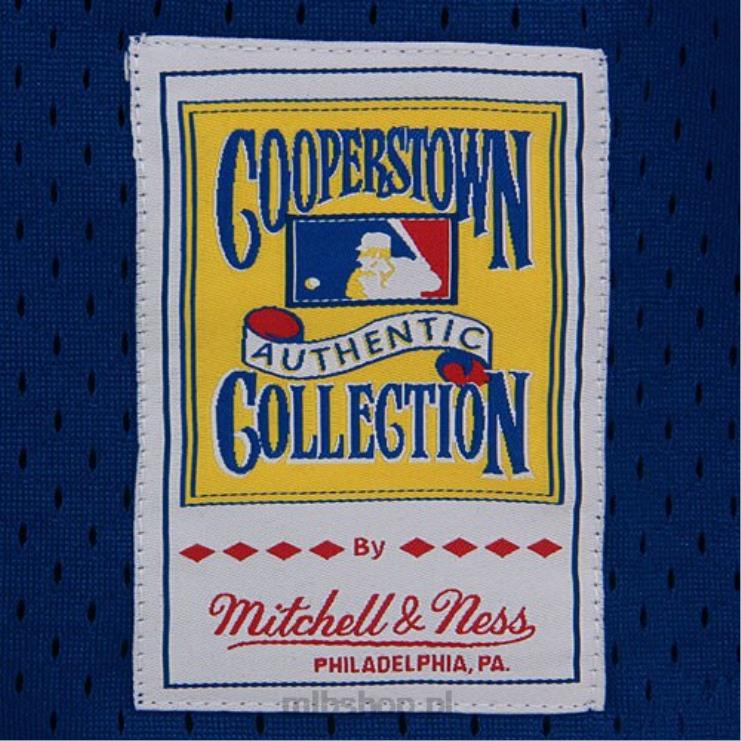 houston astros nolan ryan mitchell & ness granatowy 1988 autentyczna kolekcja cooperstown siatkowa koszulka treningowa mrugnięcia mężczyźni 0J02V801 MLB Jerseys