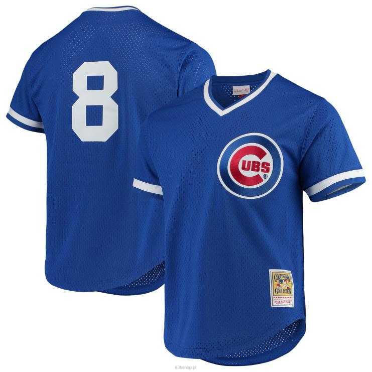 koszulka chicago cubs andre dawson mitchell & ness z kolekcji royal cooperstown z siateczką do ćwiczeń mężczyźni 0J02V1200 MLB Jerseys