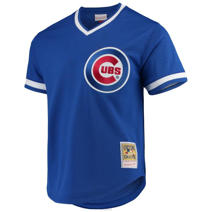 koszulka chicago cubs andre dawson mitchell & ness z kolekcji royal cooperstown z siateczką do ćwiczeń mężczyźni 0J02V1200 MLB Jerseys